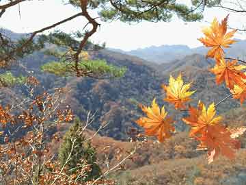 原油期货最新走势解析｜国际期货直播室在线策略分享